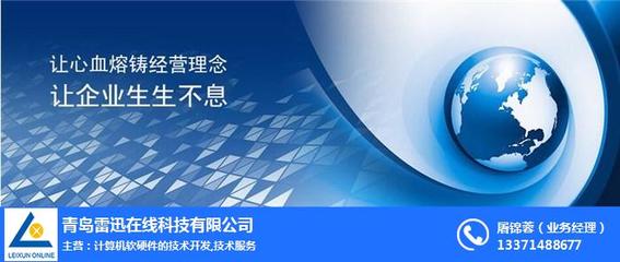 上海網站推廣與計算機軟硬件技術開發 雷迅在線的綜合服務策略